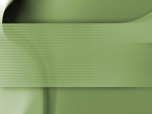 批量推理